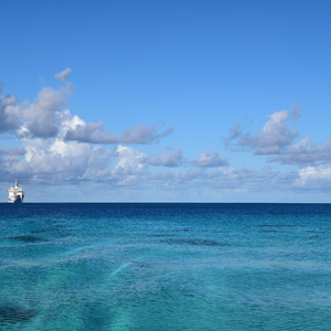 真人视范黄色动态图视频
